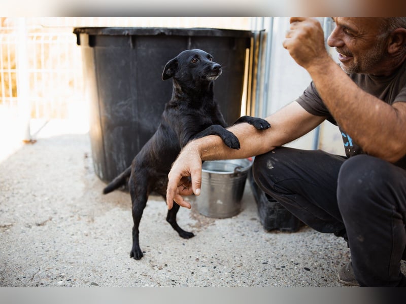 Zora: aufgeschlossen und treu!