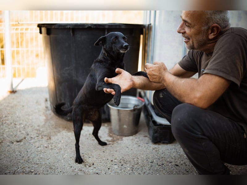 Zora: aufgeschlossen und treu!