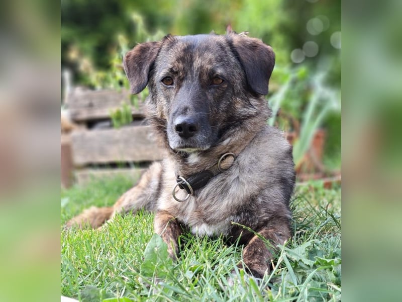 Lucy, lieb, lustig