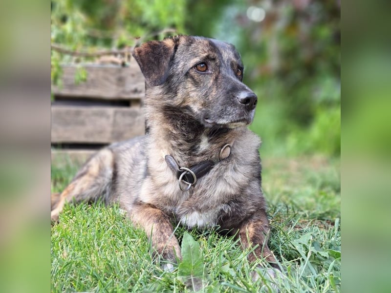 Lucy, lieb, lustig