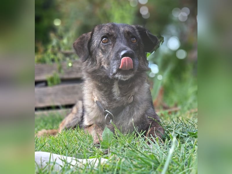 Lucy, lieb, lustig