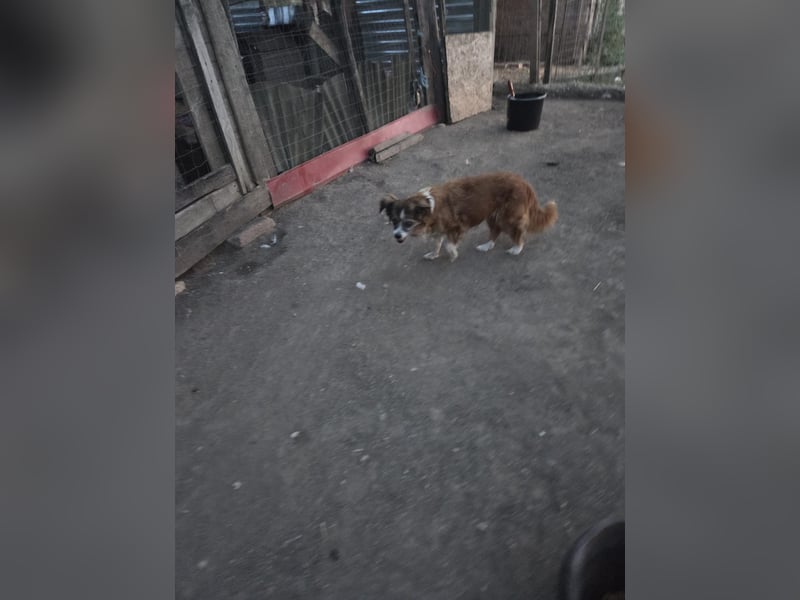 Unser zauberhafte Soul sucht Menschen mit großem Herz Unser zauberhafte Soul sucht Menschen mit großem Herz