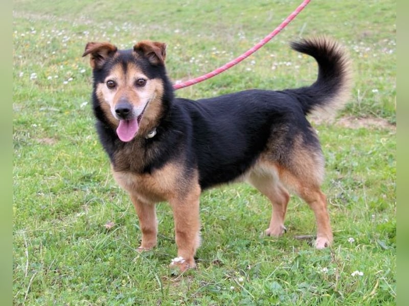 Macky - SOS - und sein Weg zurück ins Leben