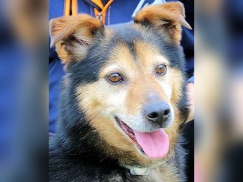 Macky - SOS - und sein Weg zurück ins Leben