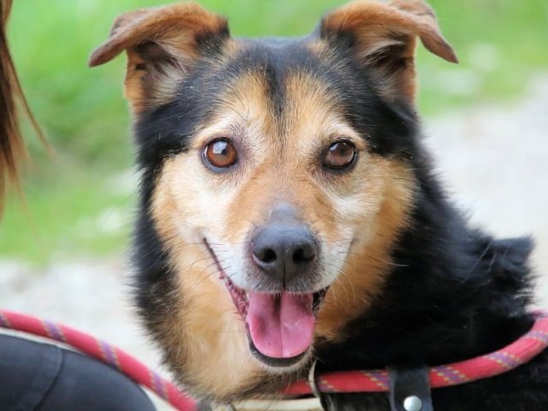 Macky - SOS - und sein Weg zurück ins Leben