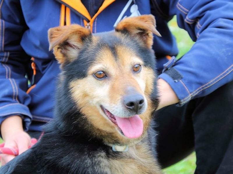 Macky - SOS - und sein Weg zurück ins Leben