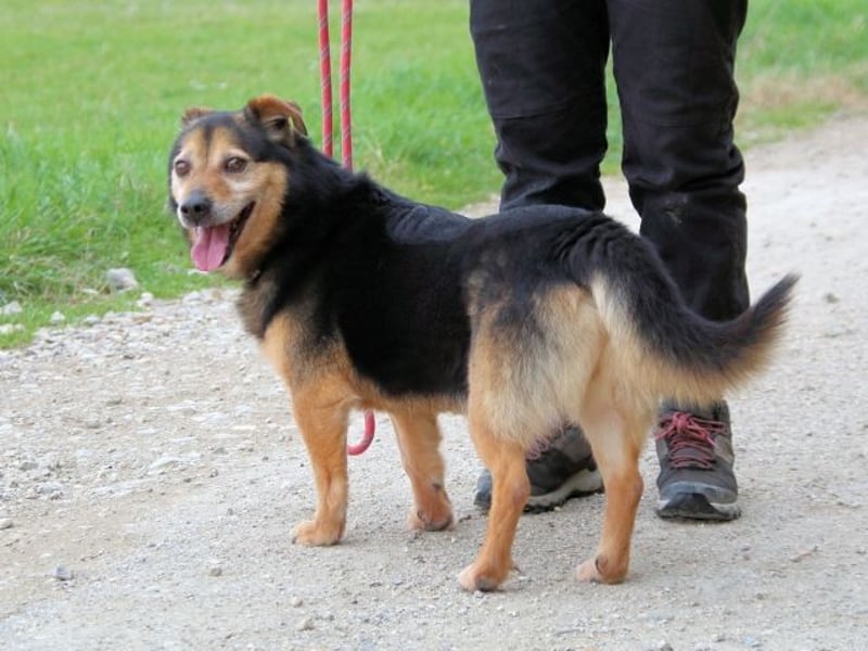Macky - SOS - und sein Weg zurück ins Leben