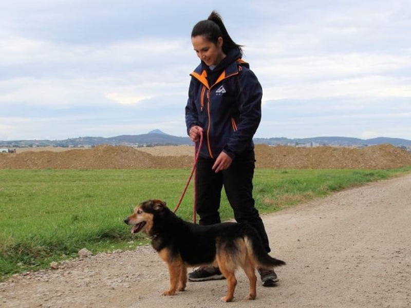 Macky - SOS - und sein Weg zurück ins Leben