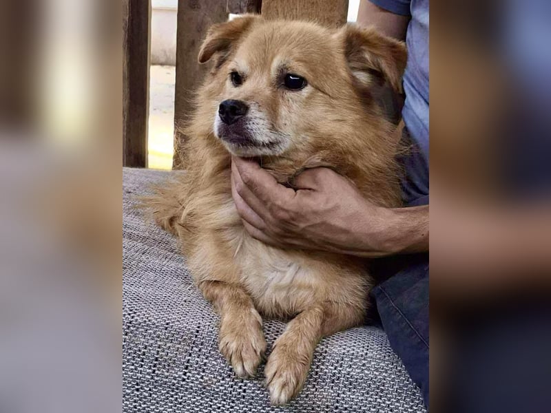 Carlos - dankbar & freundlich Carlos - dankbar & freundlich