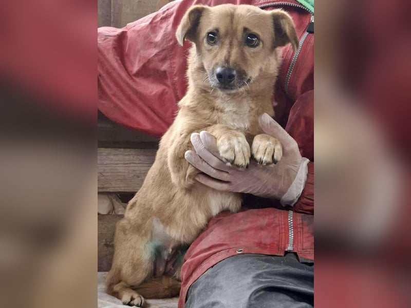 Mona sucht Sicherheit & Ruhe