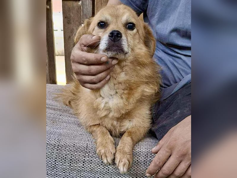 Carlos - dankbar & freundlich Carlos - dankbar & freundlich