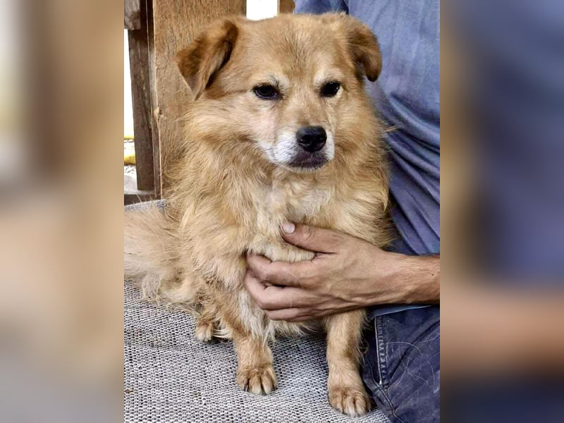 Carlos - dankbar & freundlich Carlos - dankbar & freundlich