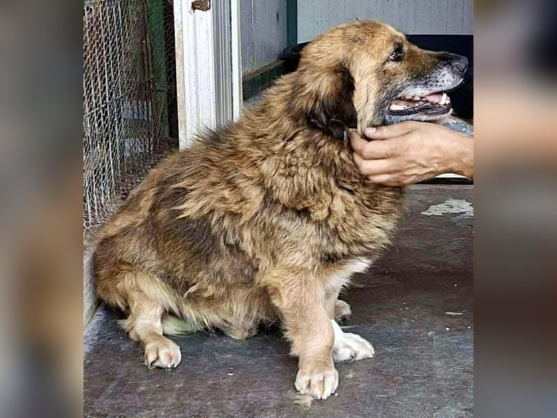 Sanfter Mats sucht neues Glück Sanfter Mats sucht neues Glück