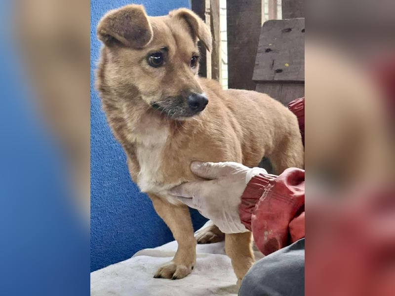 Mona sucht Sicherheit & Ruhe