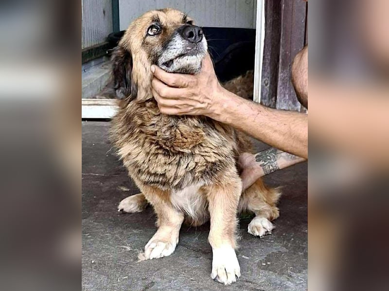 Sanfter Mats sucht neues Glück Sanfter Mats sucht neues Glück