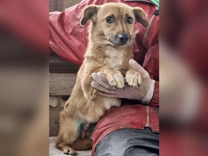 Mona sucht Sicherheit & Ruhe