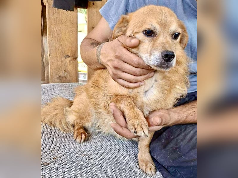 Carlos - dankbar & freundlich Carlos - dankbar & freundlich