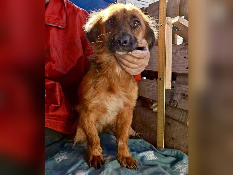 Felix sucht dringend seine Menschen