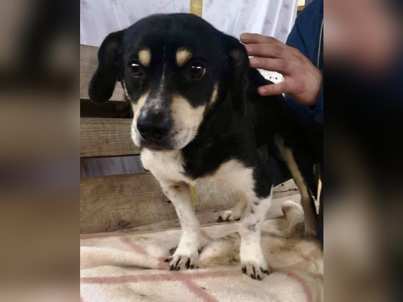 Nando hat alles verloren