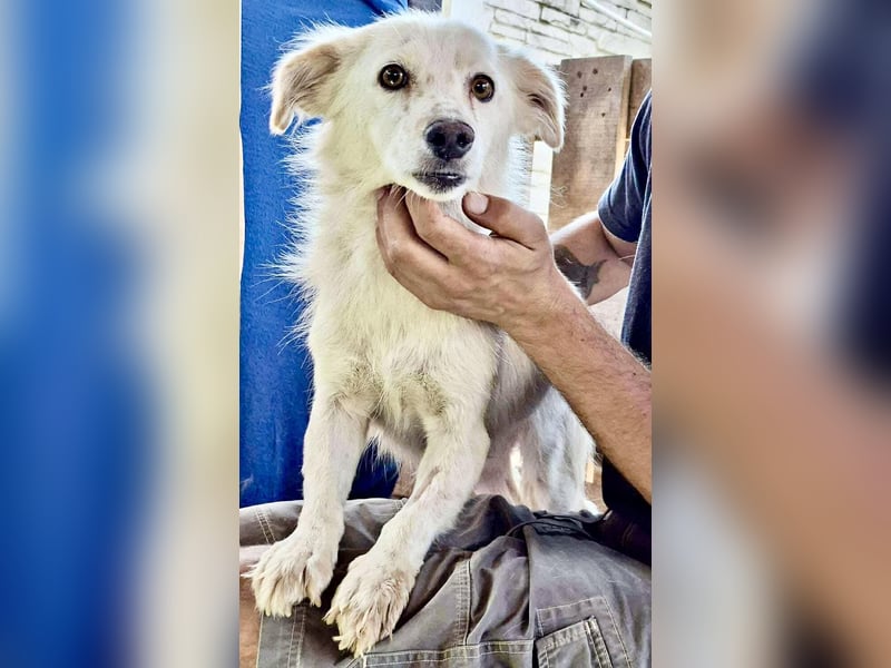 Amara muss dringend raus aus dem Shelter