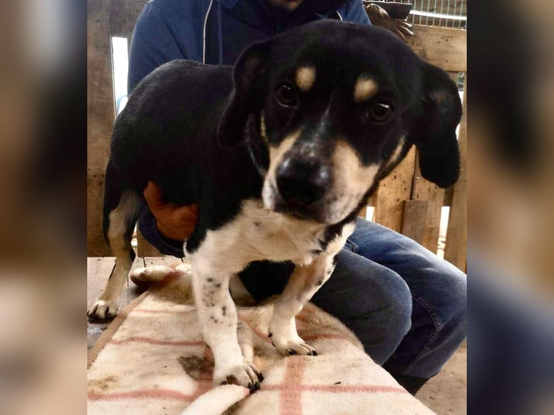 Nando hat alles verloren