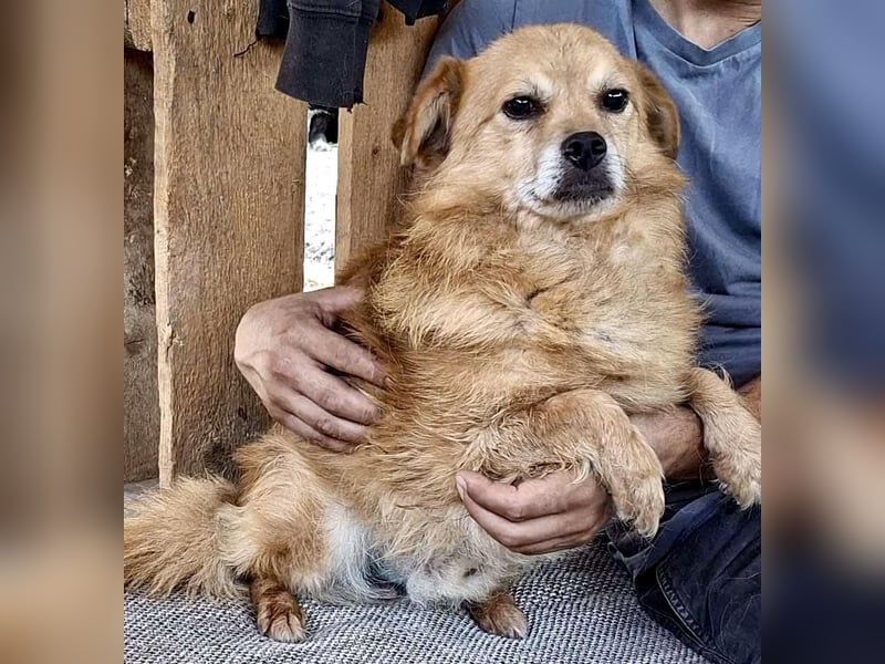 Carlos - dankbar & freundlich Carlos - dankbar & freundlich