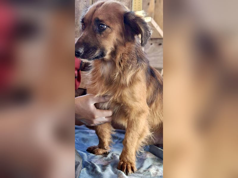 Felix sucht dringend seine Menschen