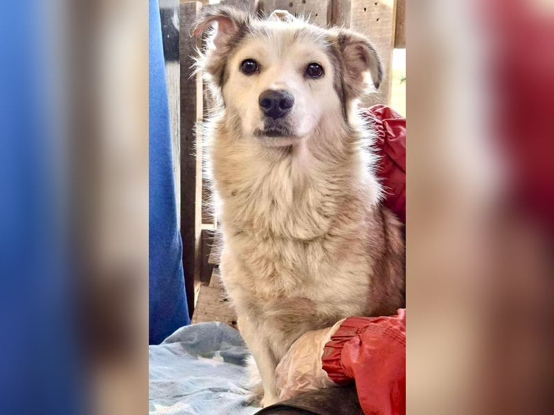 Lora – sanfte Maus braucht ruhiges Nest Lora – sanfte Maus braucht ruhiges Nest