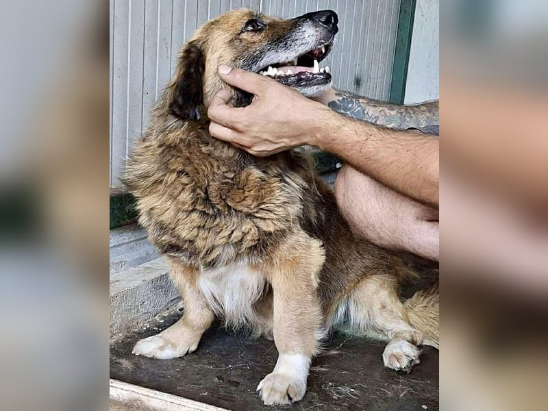 Sanfter Mats sucht neues Glück Sanfter Mats sucht neues Glück