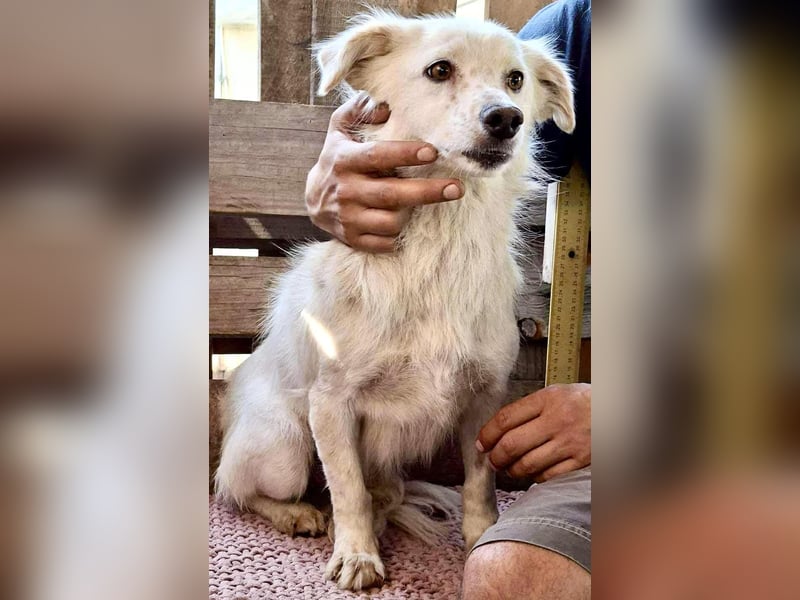 Amara muss dringend raus aus dem Shelter