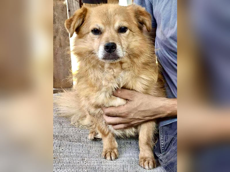 Carlos - dankbar & freundlich Carlos - dankbar & freundlich