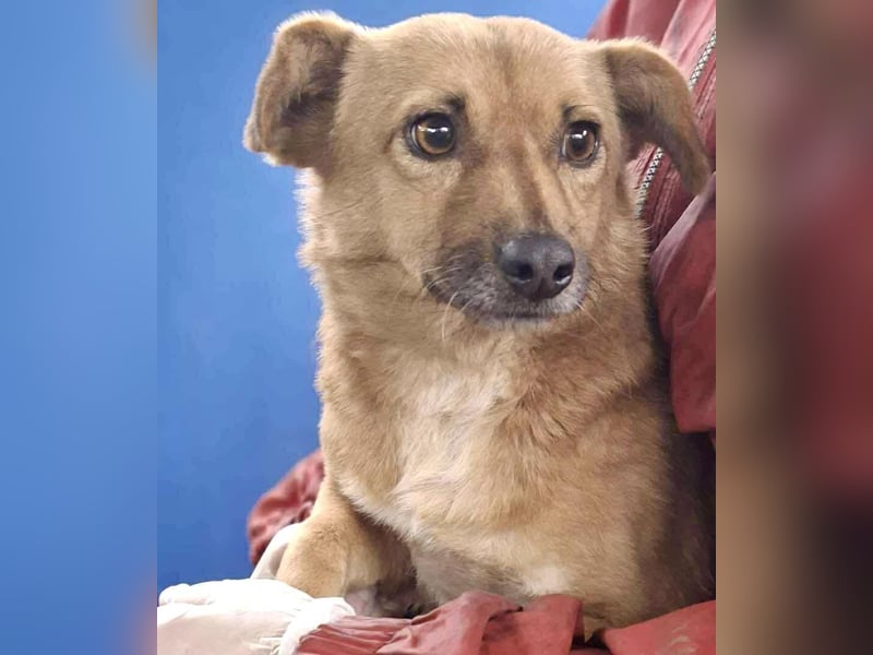 Mona sucht Sicherheit & Ruhe