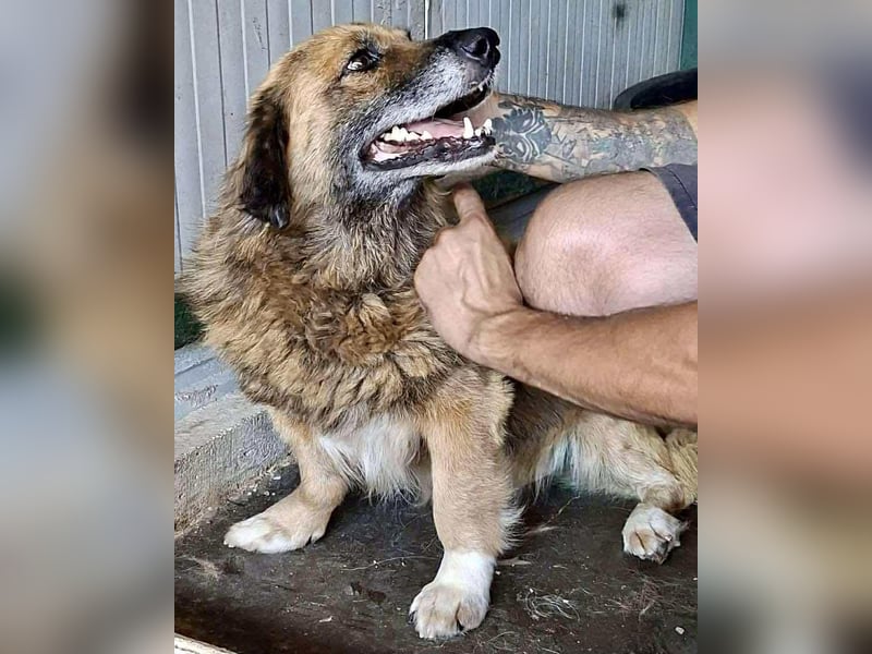 Sanfter Mats sucht neues Glück Sanfter Mats sucht neues Glück