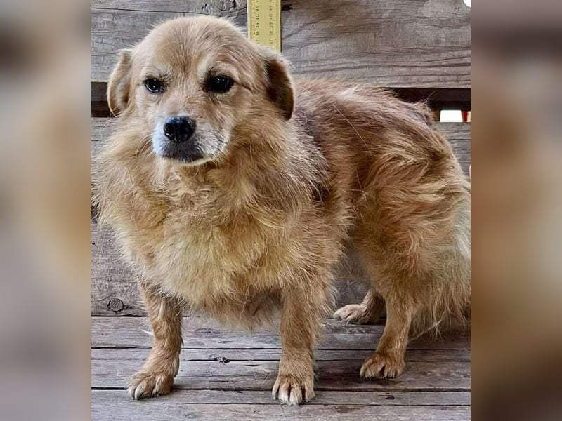 Carlos - dankbar & freundlich Carlos - dankbar & freundlich