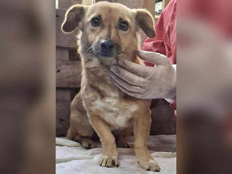 Mona sucht Sicherheit & Ruhe