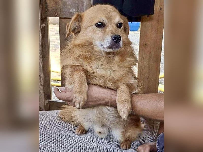 Carlos - dankbar & freundlich Carlos - dankbar & freundlich