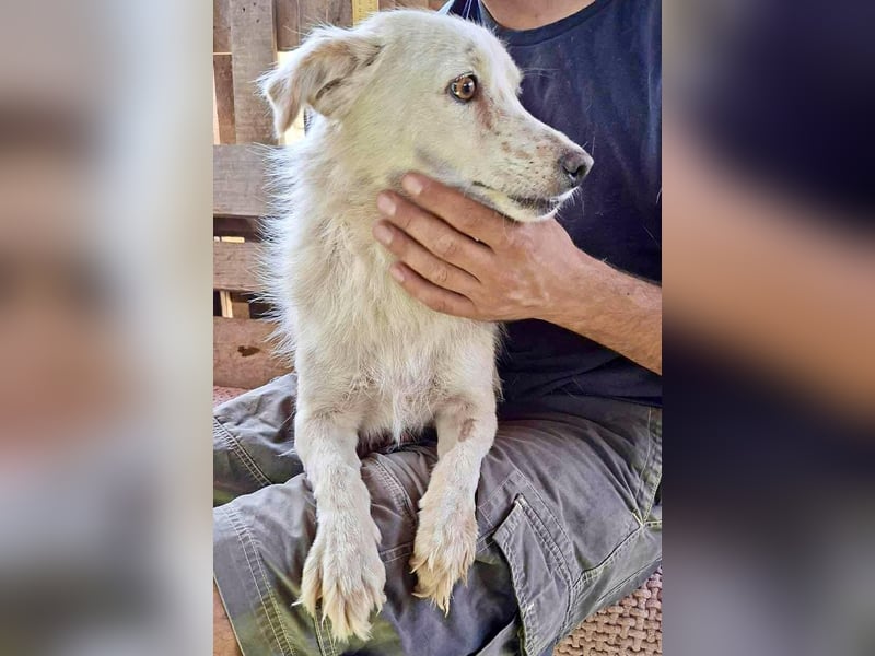Amara muss dringend raus aus dem Shelter