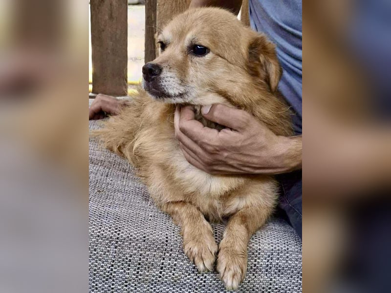 Carlos - dankbar & freundlich Carlos - dankbar & freundlich