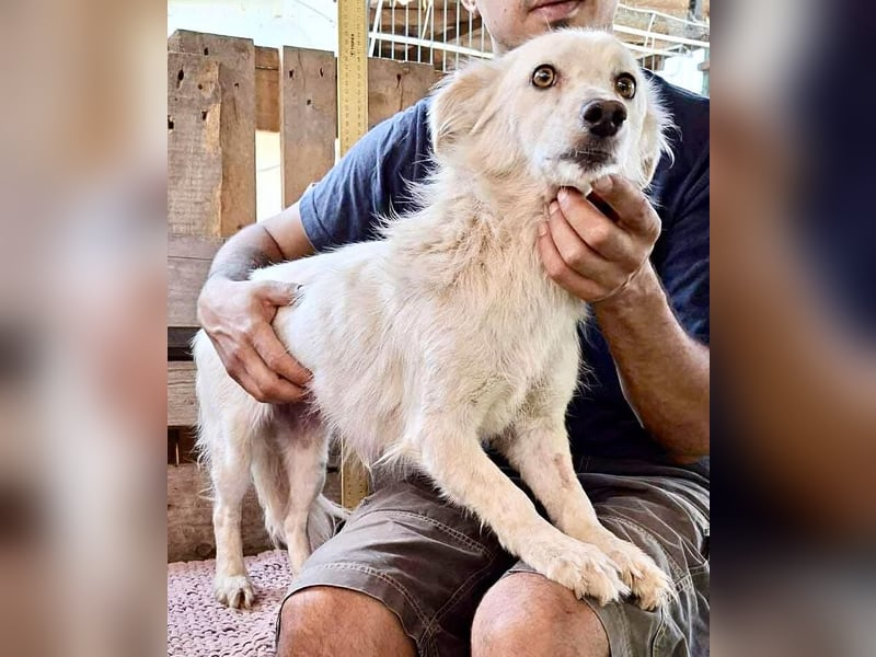 Amara muss dringend raus aus dem Shelter