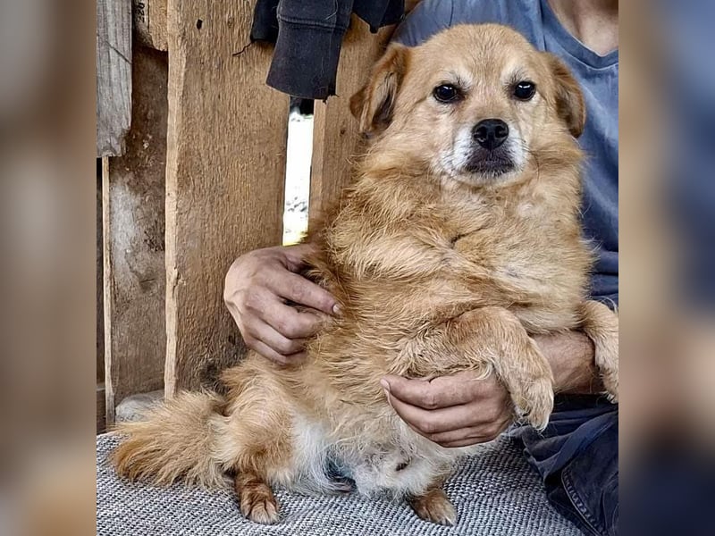 Carlos - dankbar & freundlich Carlos - dankbar & freundlich