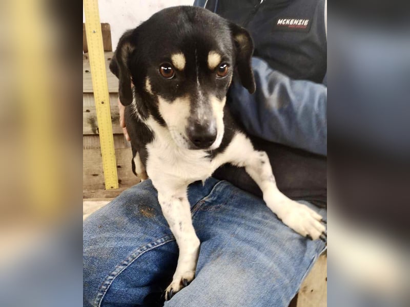 Nando hat alles verloren