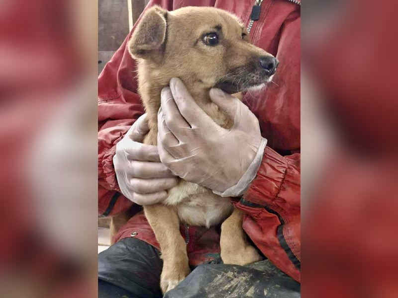 Mona sucht Sicherheit & Ruhe