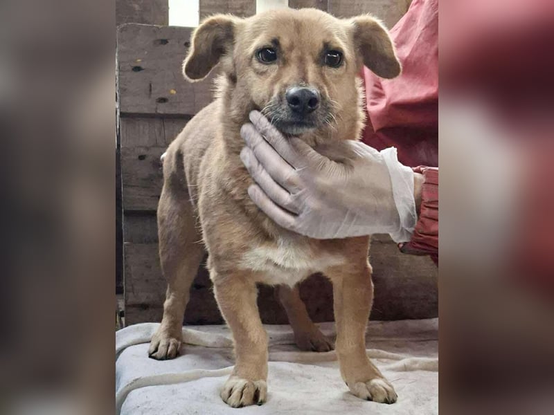 Mona sucht Sicherheit & Ruhe