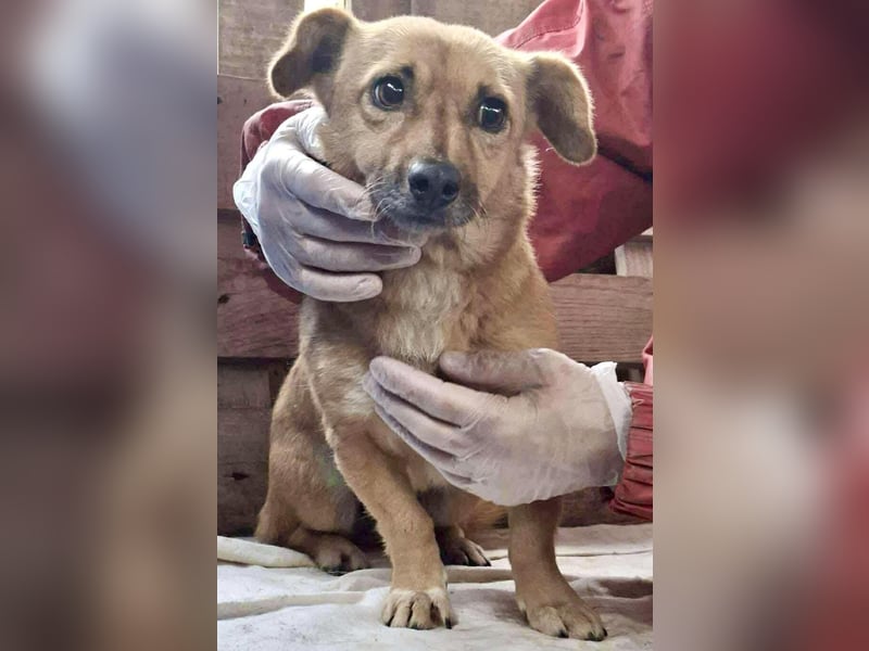 Mona sucht Sicherheit & Ruhe