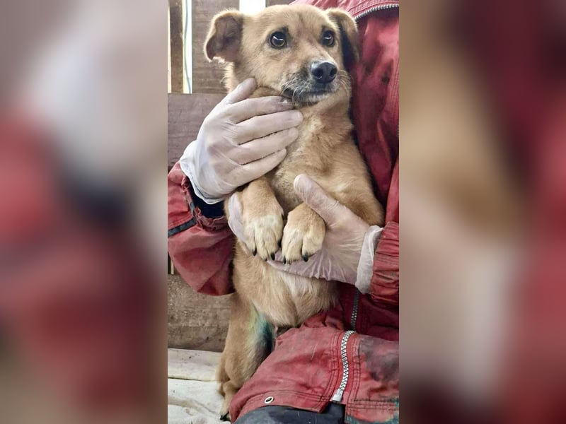 Mona sucht Sicherheit & Ruhe