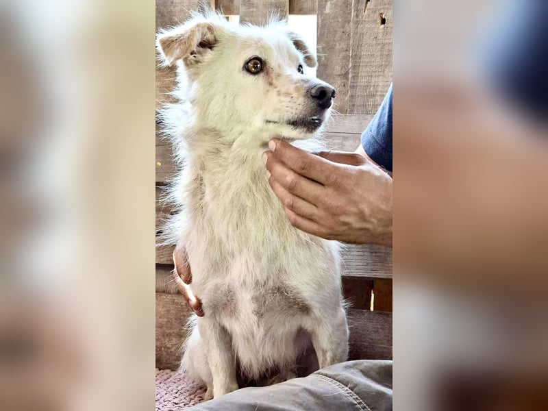 Amara muss dringend raus aus dem Shelter