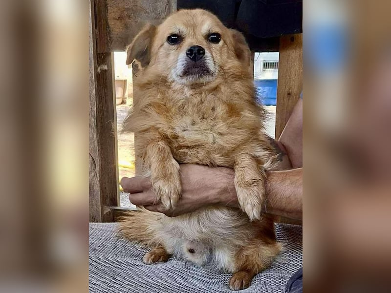 Carlos - dankbar & freundlich Carlos - dankbar & freundlich