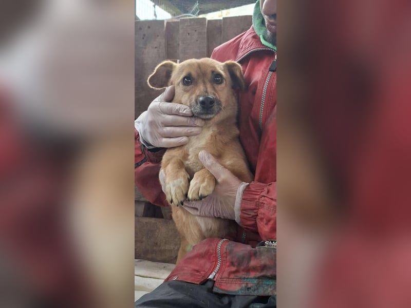 Mona sucht Sicherheit & Ruhe