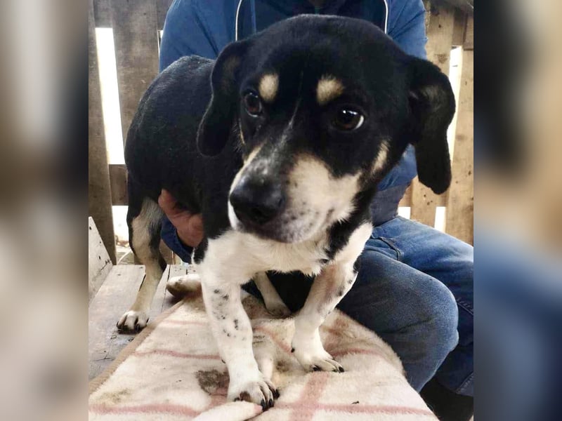 Nando hat alles verloren