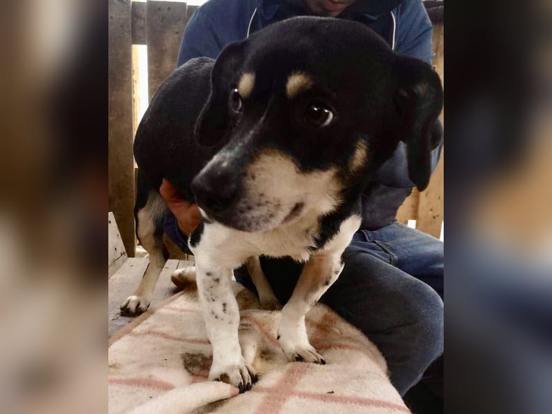 Nando hat alles verloren